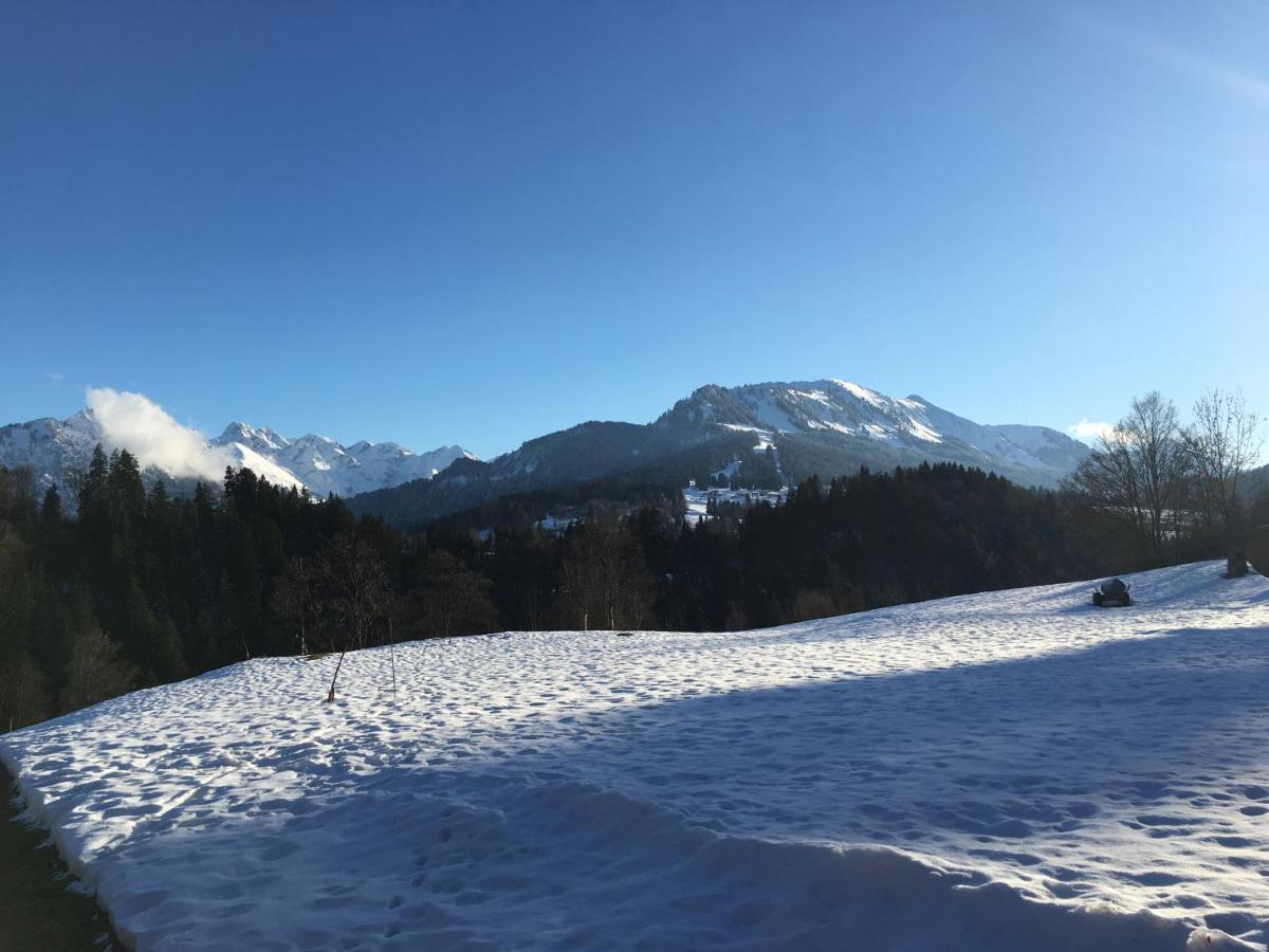 Bergfex Falkenberg 304 Mit Sommer-Bergbahnticket Oberstdorf Luaran gambar